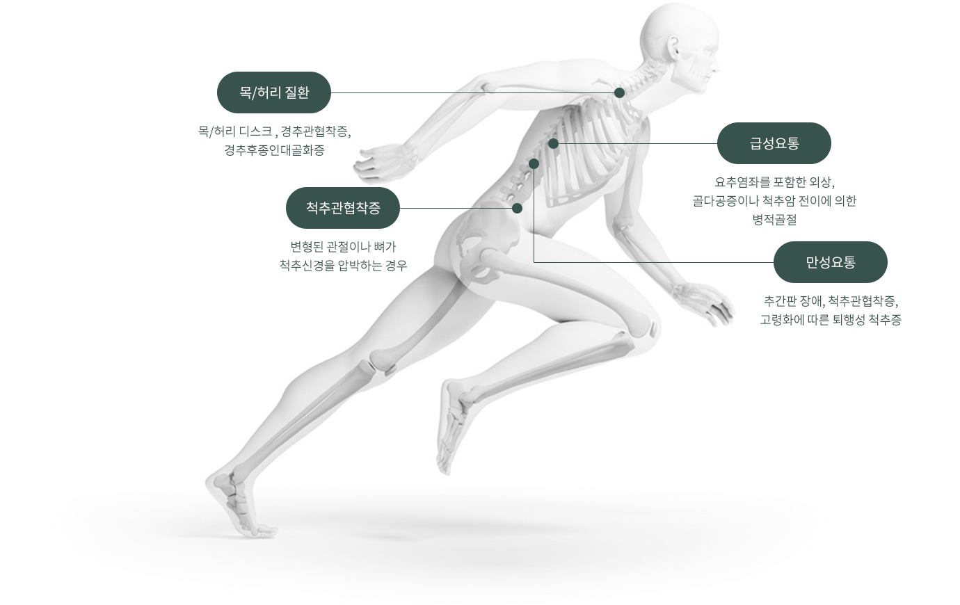 목/허리 질환 : 목/허리 디스크, 경추관협착증, 경추후종인대골화증 / 척추관협착증 : 변형된 관절이나 뼈가 척추신경을 압박하는 경우 / 급성요통 : 요추염좌를 포함한 외상, 골다공증이나 척추암 전이에 의한 병적골절 / 만성요통 : 추간판 장애, 척추관협착증, 고령화에 따른 퇴행성 척추증