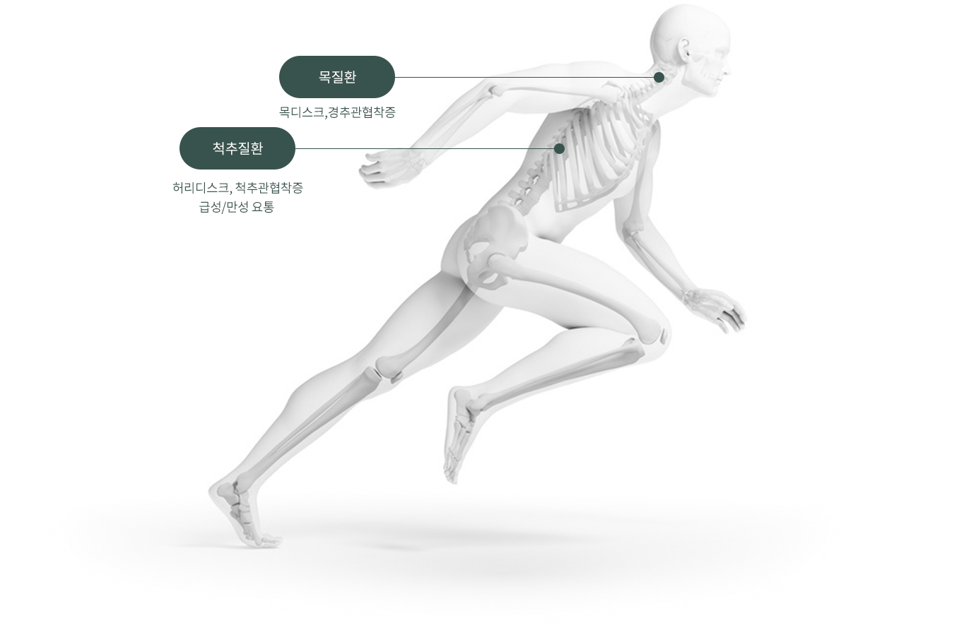 목질환 : 목디스크,경추관협착증 / 척추질환 : 허리디스크, 척추관협착증, 급성/만성 요통