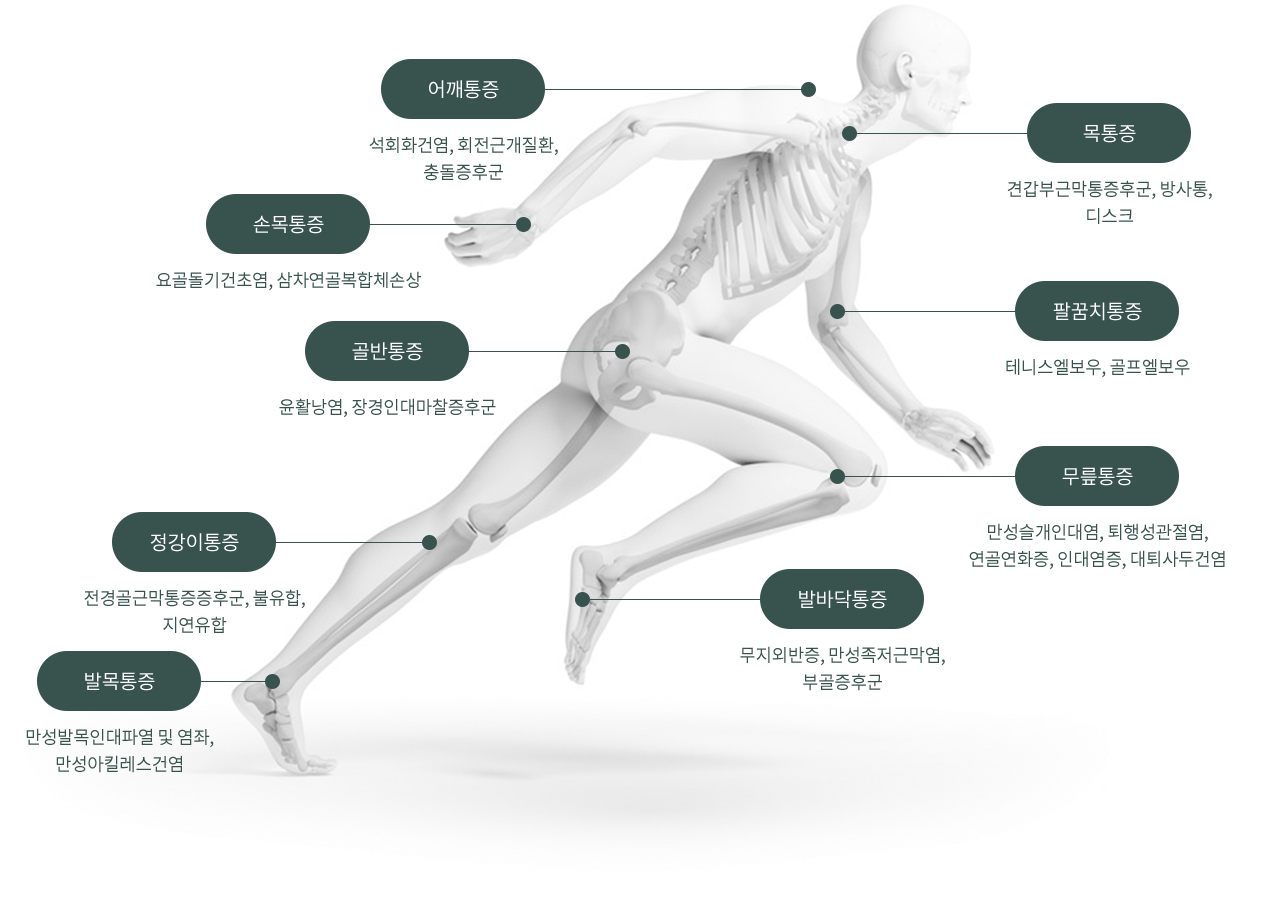 디스크질환 : 디스크탈출증, 디스크내장증, 퇴행성 디스크, 허리디스크 / 척추관협착증 : 변형된 관절이나 뼈가 척추신경을 압박하는 경우 / 급성요통 : 요추염좌를 포함한 외상 골다공증이나 척추암 전이에 의한 병적골절 / 만성요통 : 추간판 장애, 척추관협착증, 고령화에 따른 퇴행성 척추증